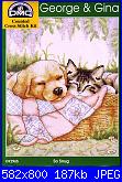 Schemi e cani e gatti-cats-dogs-friends_15-jpg