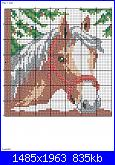 Cavallo / Cavalli-cavallo1-jpg