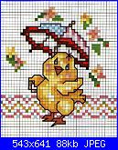 Animali simpatici-pulcino-con-ombrellino-jpg