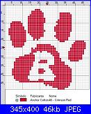 Orme di animali-bdog-jpg