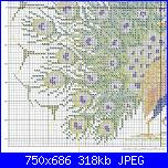 Animali esotici/selvatici-190026-21162276-m750x740-jpg