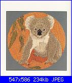 schemi koala-jill-oxton_s-australia_s-flora-fauna-2-copia-jpg