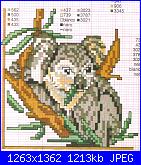 schemi koala-koala-2-jpg