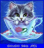 Gatti e Gattini-gatito_en_taza_1-jpg