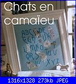 Gatti e Gattini-4-jpg