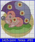 Animali simpatici-riccio-jpg