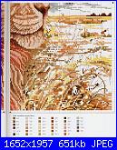 Animali esotici/selvatici-cats-world_mirknig-com_10-jpg