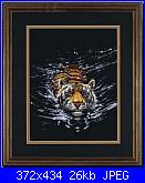 Animali esotici/selvatici-01-jpg