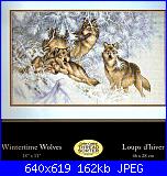 Animali esotici/selvatici-35227-jpg