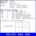 Animali esotici/selvatici-pumas-keys-gif-jpg