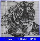 Animali esotici/selvatici-101613-69afc-12793278-jpg