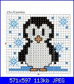 Pinguini-quinta-4-jpg