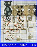 Gatti e Gattini-gatti009-jpg