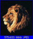 Animali esotici/selvatici-103844-93b66-13766433-m750x740-jpg