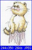 Gatti e Gattini-anchor-stc-102-cat-above-rest-jpg