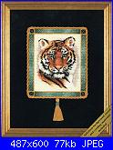 Animali esotici/selvatici-dim35060-dramatic-tiger-portrait-jpg