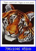 Animali esotici/selvatici-dmc-k4100-tiger-cub-jpg