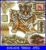 Animali esotici/selvatici-fleurdelys-epx167-tigers-jpg