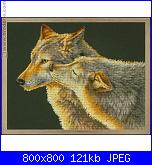 Animali esotici/selvatici-i-grande-53891-baiser-de-loup_net-jpg