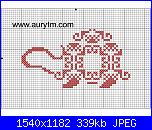 Tartarughe-tortoise-jpg