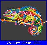 Animali a colori-camaleonte-jpg