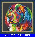 Animali a colori-cane-jpg