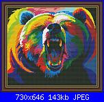 Animali a colori-orso-jpg