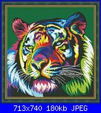 Animali a colori-tigre-jpg