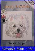 Cani-heritage-lfwp1031-westie-jpg