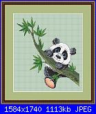 Panda-cover-jpg