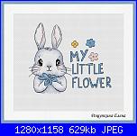 Coniglio / conigli/ coniglietto / coniglietti-tor_ynw8x2k-jpg