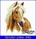 Cavallo / Cavalli-cover-jpg