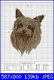 Cani-yorkshire-terrier-jpg