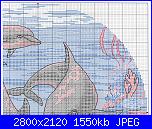 Delfini-dolphins2-jpg