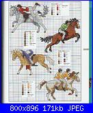 Cavallo / Cavalli-77-jpg