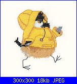 Uccellini,  rondini, colombe-cdrc840-rain-chick-jpg