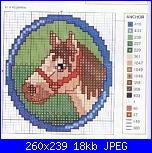 Cavallo / Cavalli-cavallo_testa-jpg