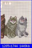 Afghans-la-2206-purrfect-company-2-jpeg