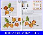 Bordi per asciugamani-bordi-asciugamani-fiori-arancione-jpg