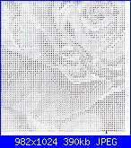 Rose-rosa-vermelha-1-3-jpg