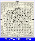 Rose-1460855129128515264-jpg