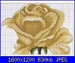 Rose-1-jpg