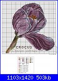 Fiori-crocus-inverno-jpg
