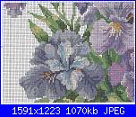 Iris-1071-3-jpg
