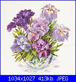 Iris-1071-jpg