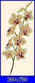 Orchidee-dmc_xc0821_orchid-jpg