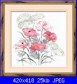 Fiori-riolis339-poppies-jpg