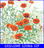 Fiori-tg2062-orange-poppies-jpg-gif