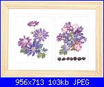 Fiori-tg0445-anemone-blanda-jpg