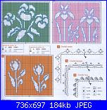 Tulipani-1%2520-7-punto%2520assisi-jpg